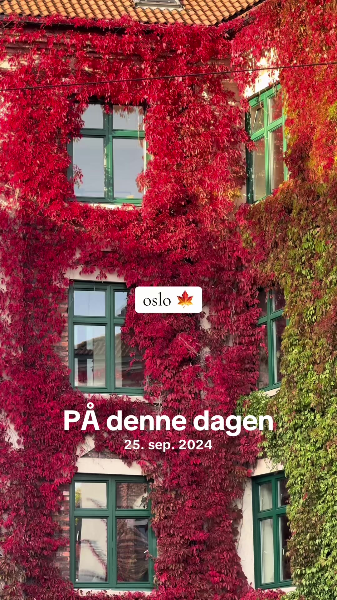 @colorsofnorway