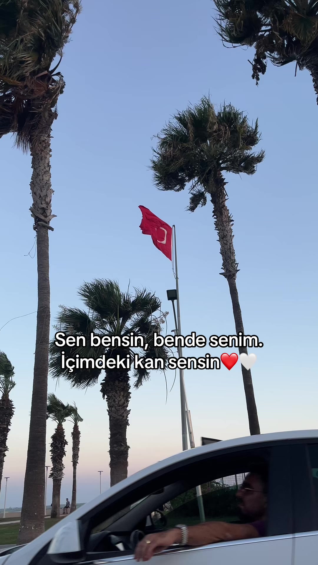 @Vesna