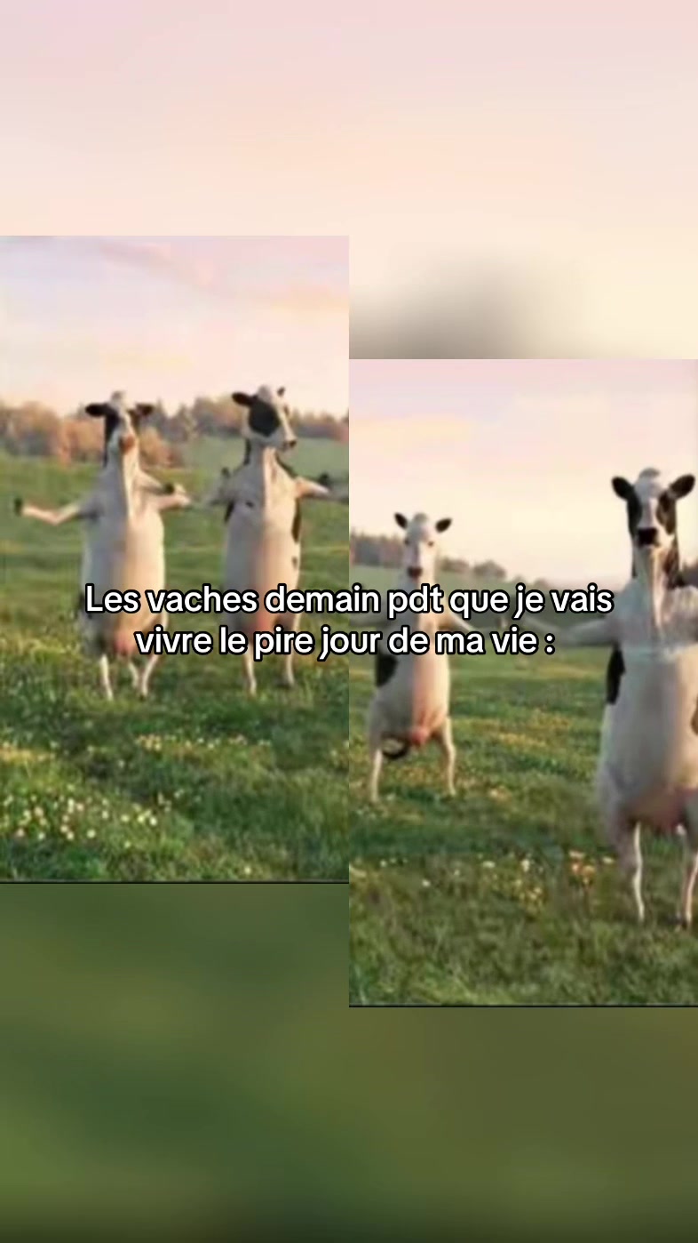 @Manon_spm メ𝟶
