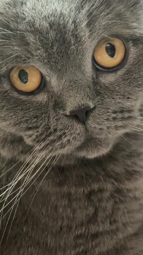 @𝐴𝑙𝑒𝑦𝑛𝑎 🐆