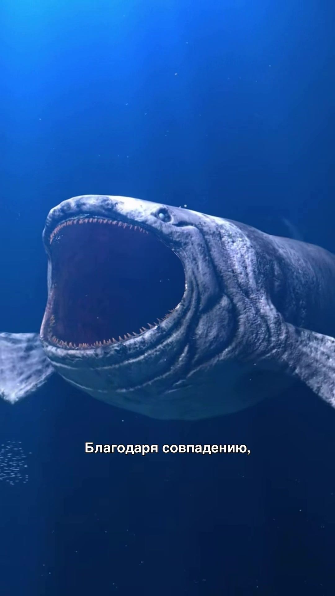@тгк кружок всратых интересов