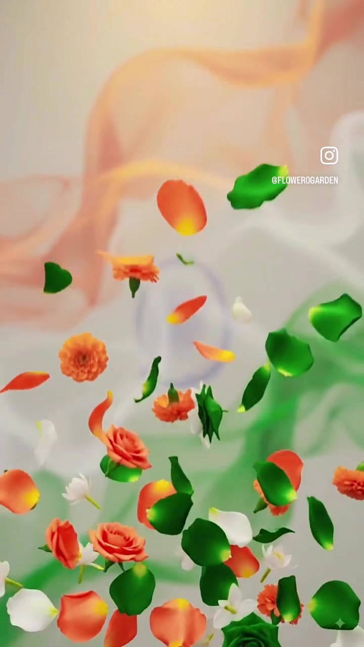 @G⃨o⃨o⃨g⃨l⃨i⃨e⃨7⃨4⃨7⃨