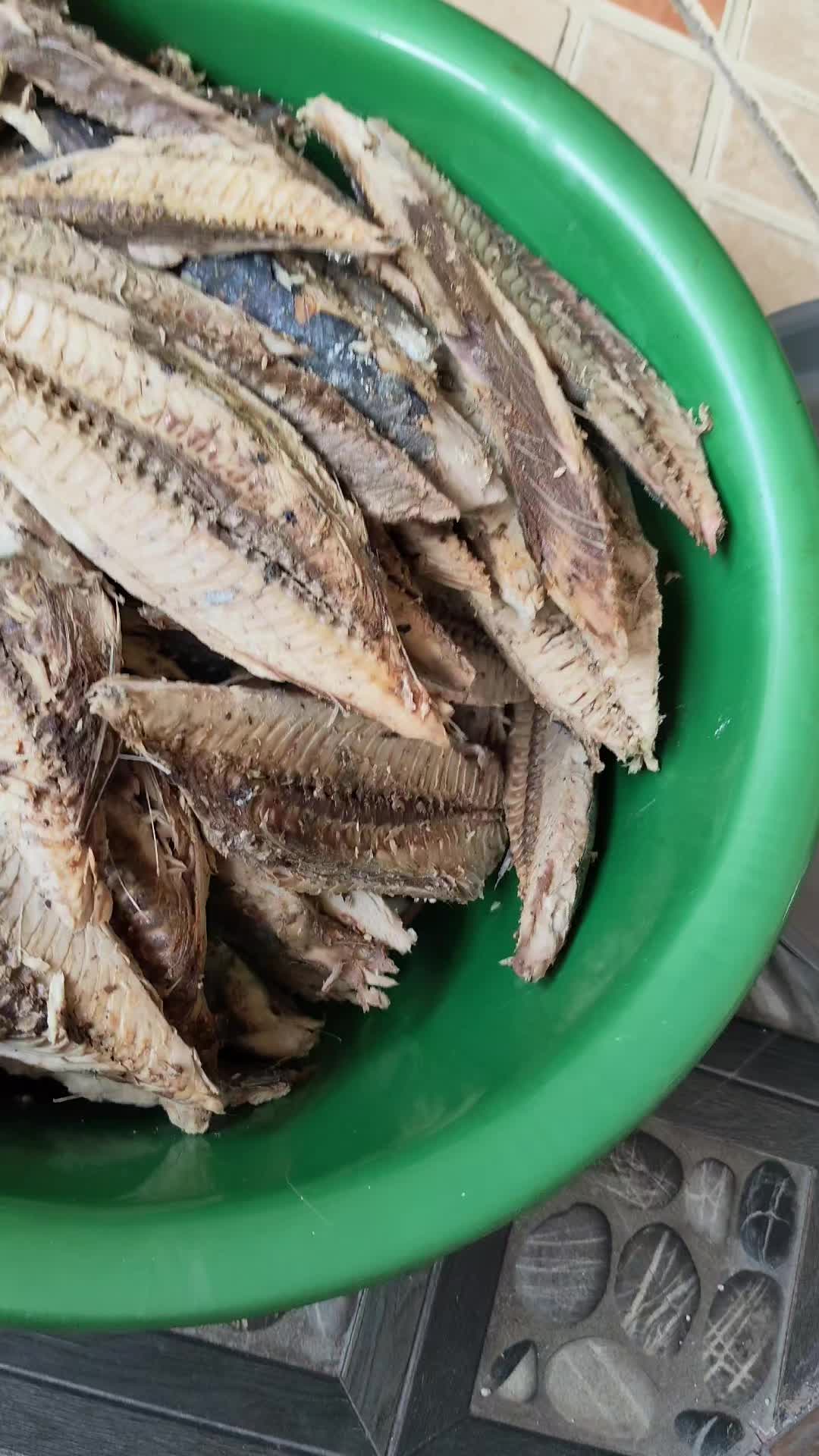 @JavelinMo