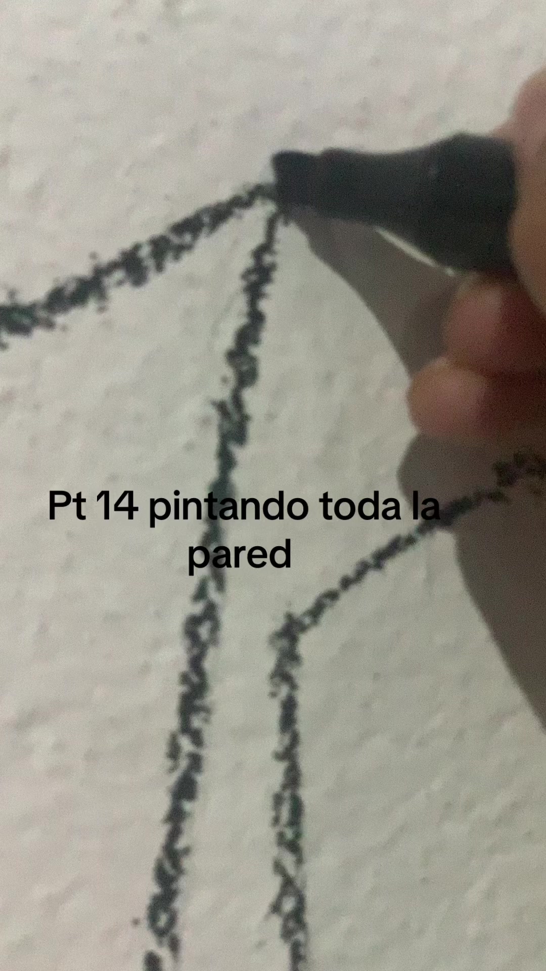 @a_xd0261