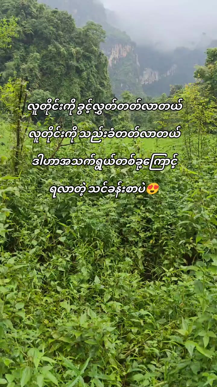 @๐๐๐. ๐ฌ๐จ๐ฅ๐จ ๐๐จ๐ฒ โฆ