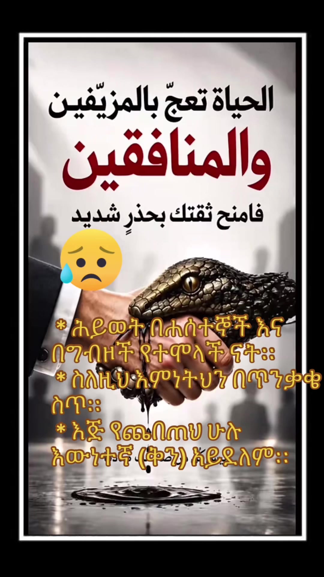 @๐ฃ๐๐๐๐ช_๐ข๐ฆ๐๐๐๐ธ๐ป