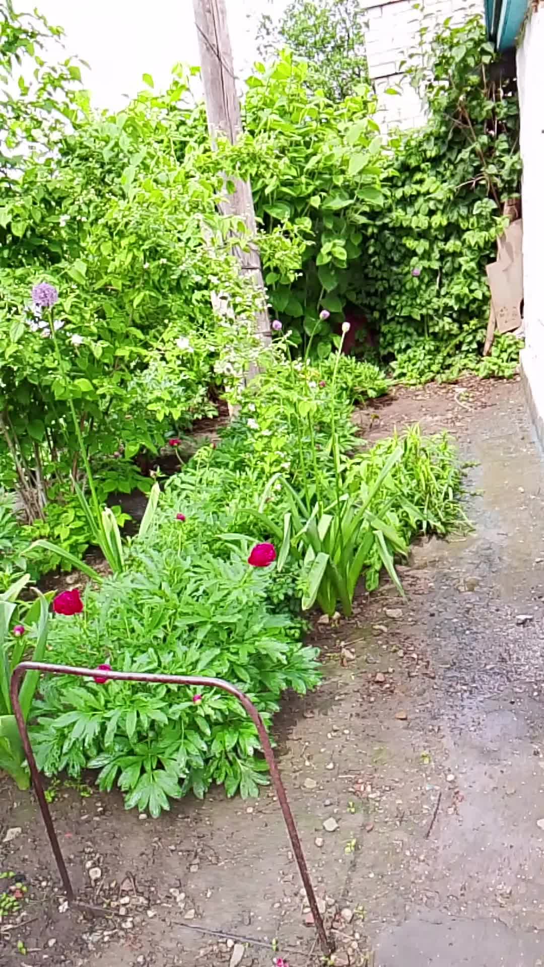 @одна такая