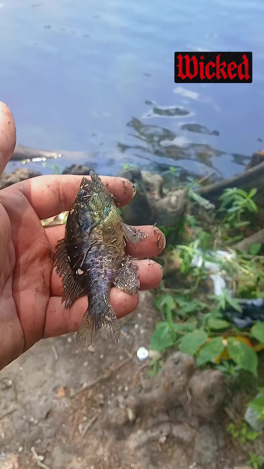 @SALTWATER SAB OUTDOORS