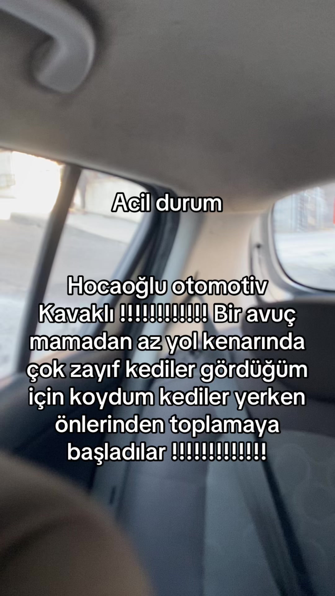 @yudummz_