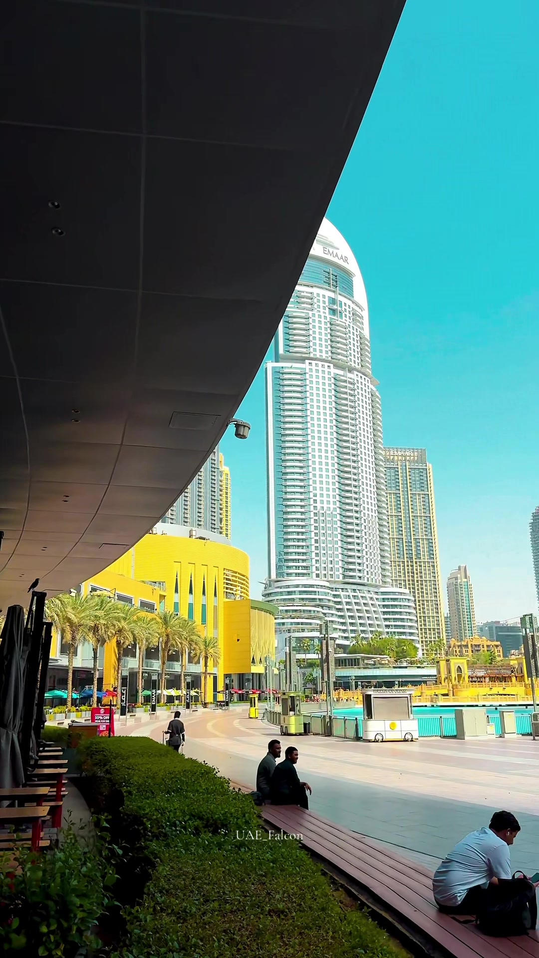 @UAE_Falcon