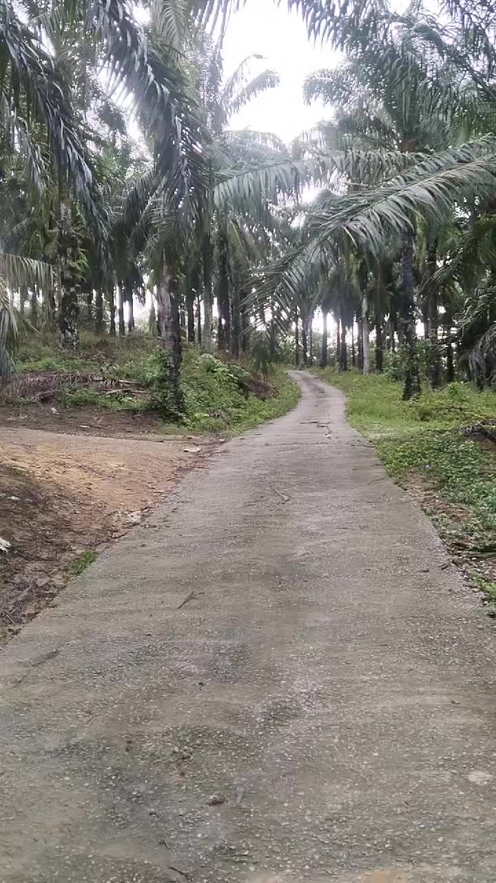 @arulalfan8