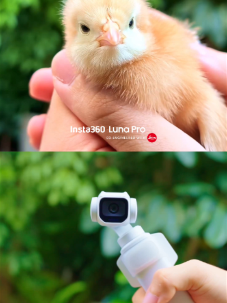 @insta360 official