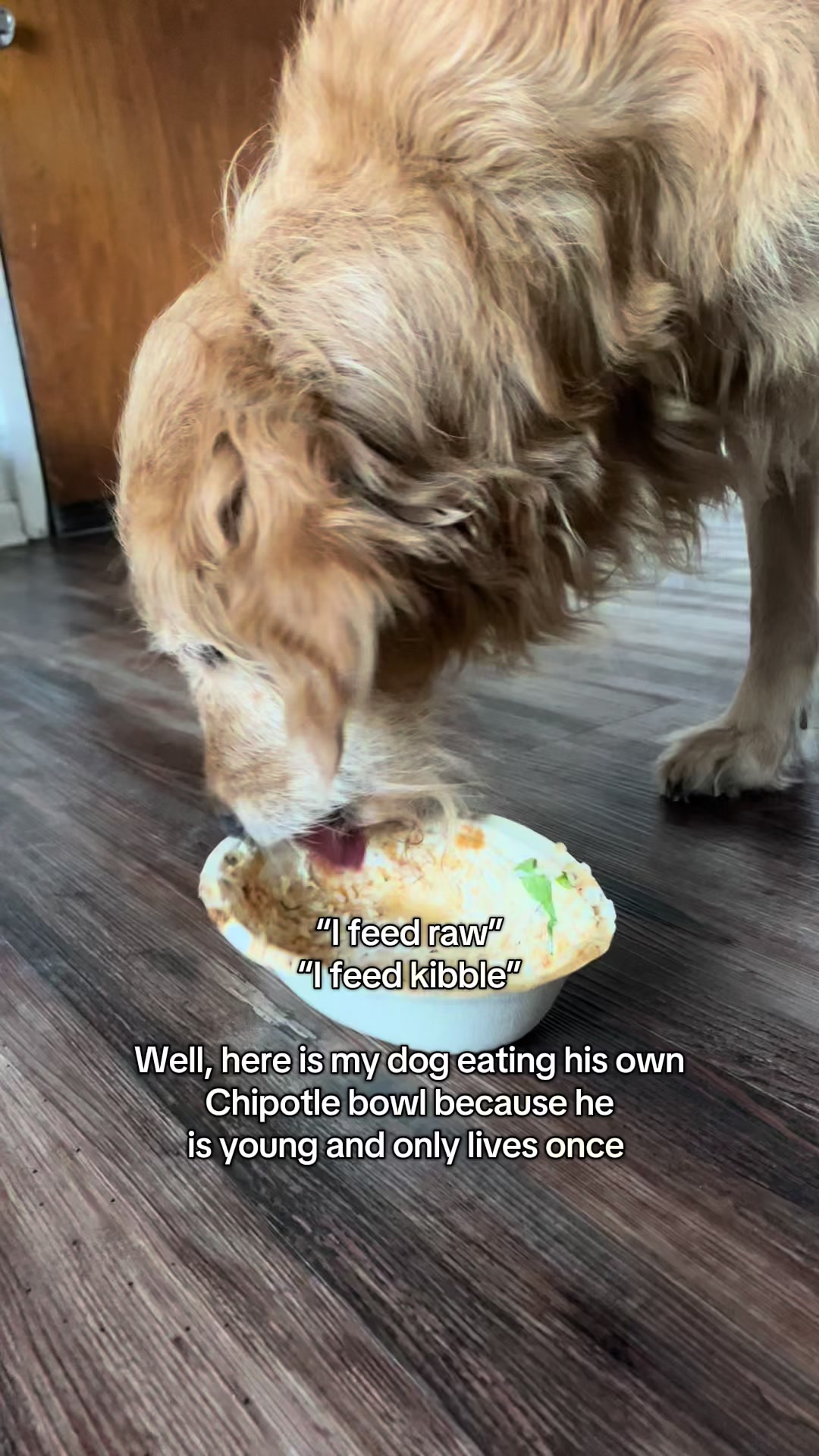 @Leo the Doodle