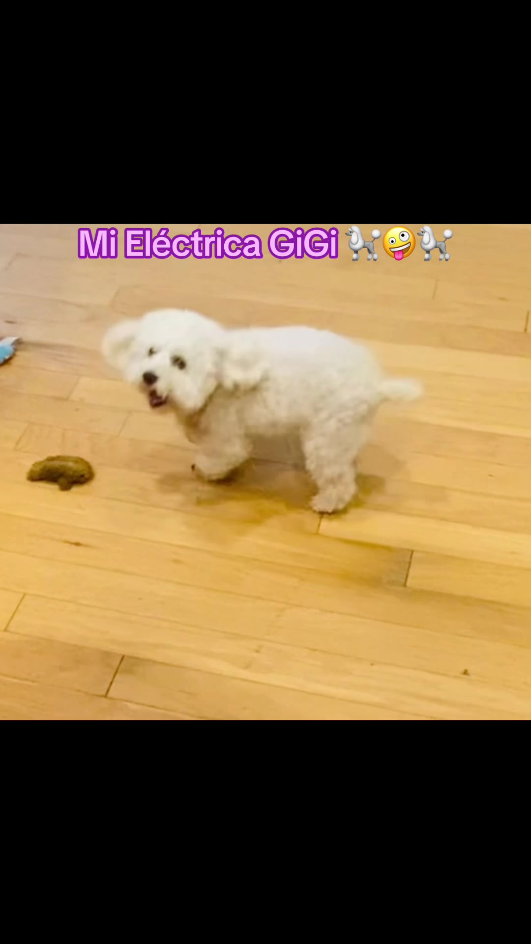 @profetrivella