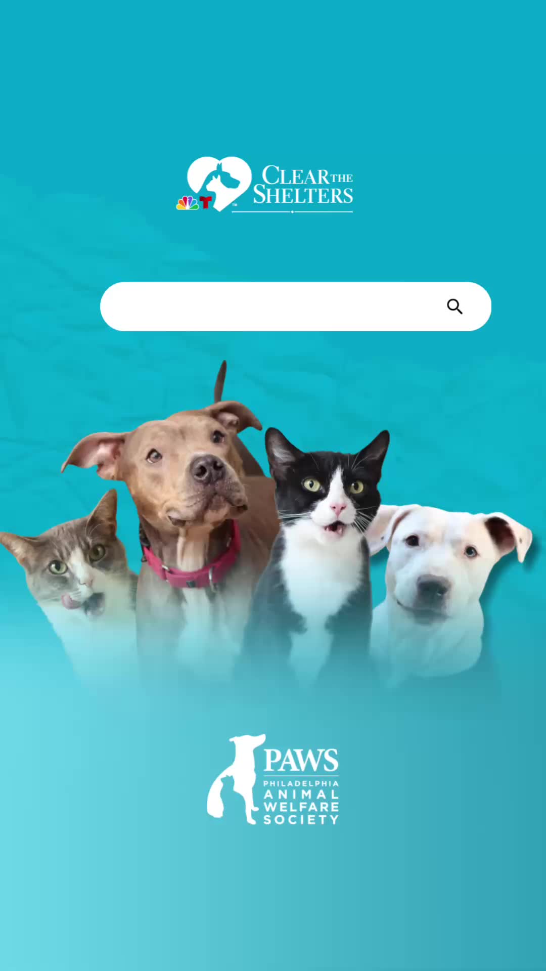 @PAWS