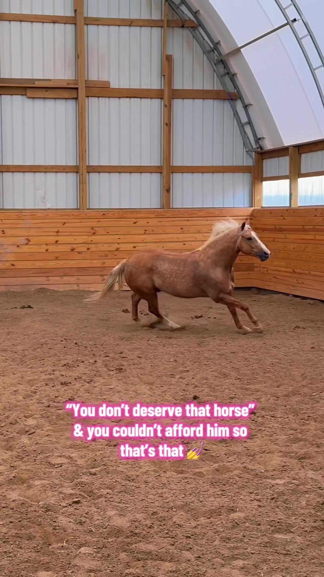 @Free Spirit Equestrian