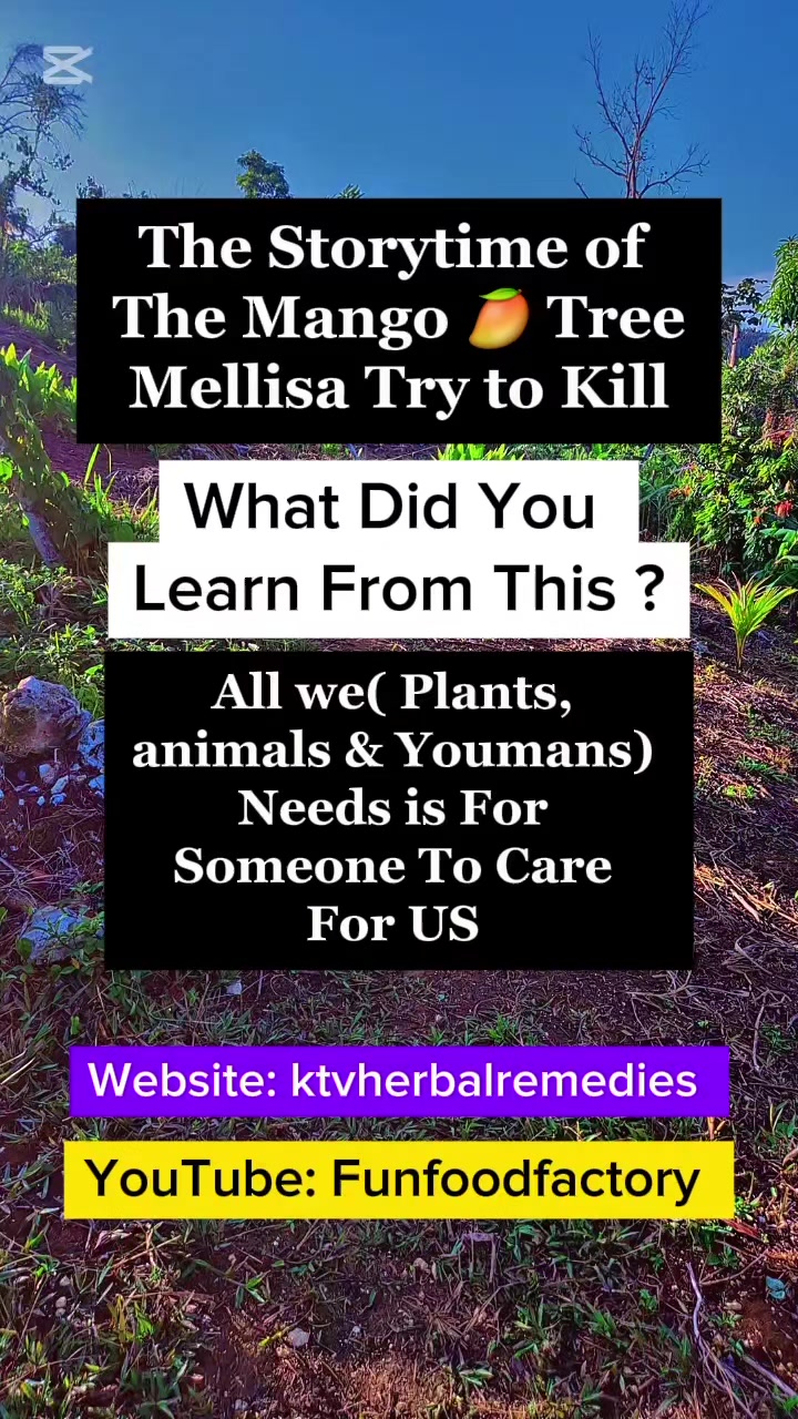 @knowledgeabletrueversion