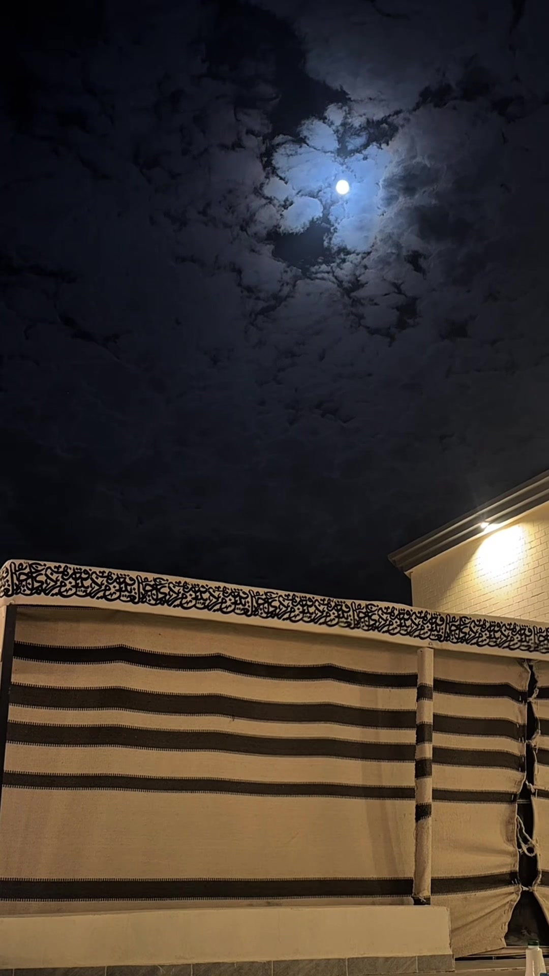 @سيف بن محمد| SAIF MOHAMMED🐆