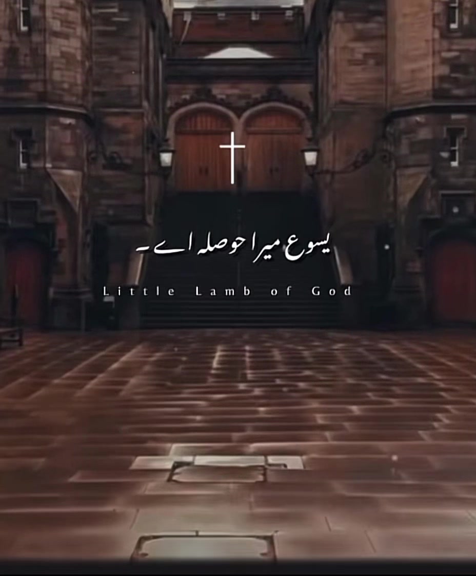 @Punjabi Family پنجابی فیملی