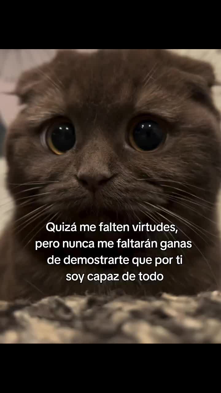 @crissparker