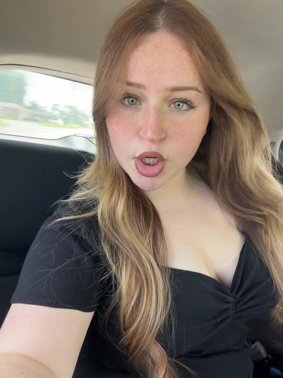 @🐝