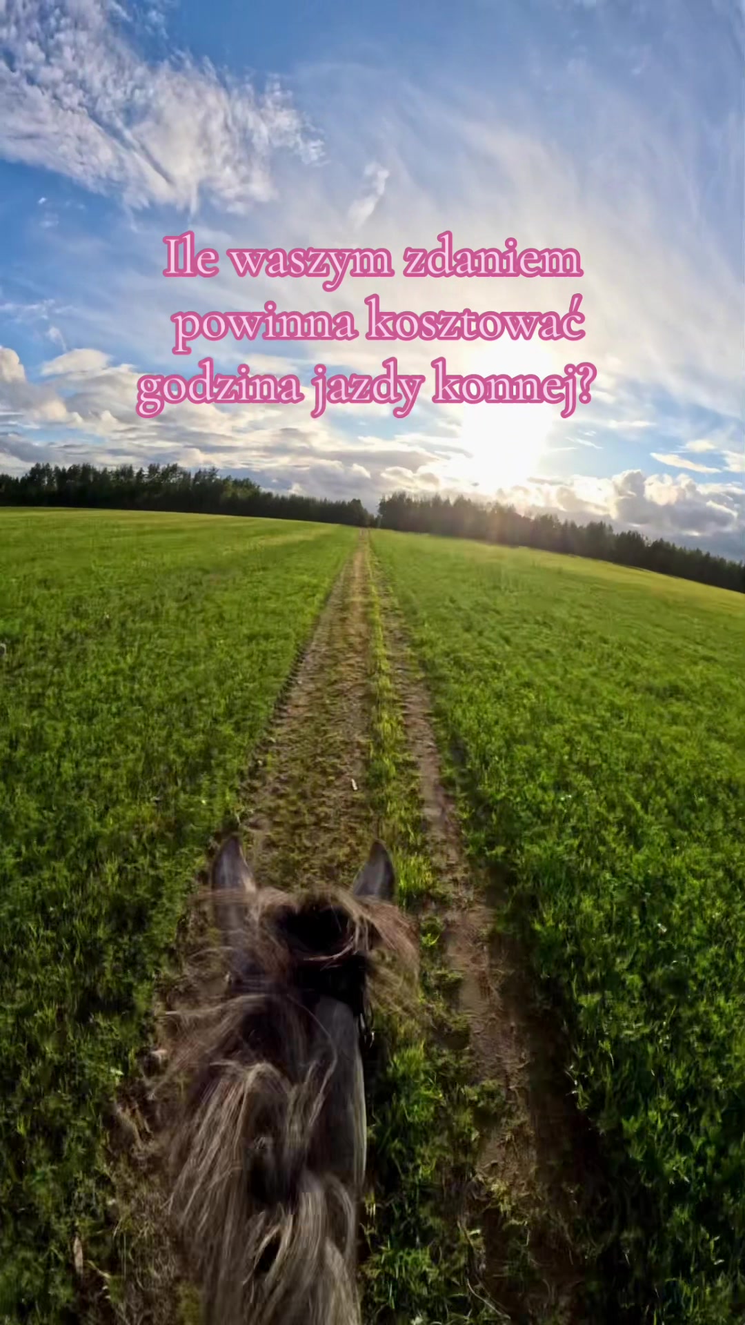 @Stajnia Miejsce Rozwoju