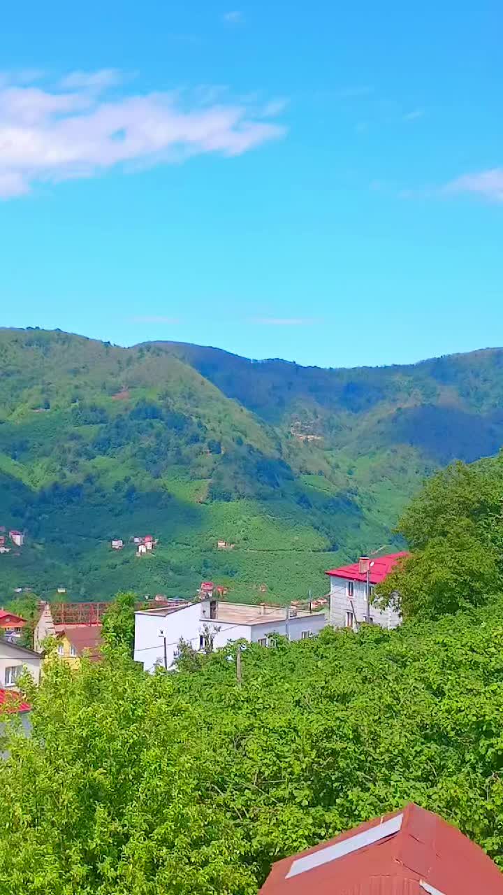 @Varol Zengin