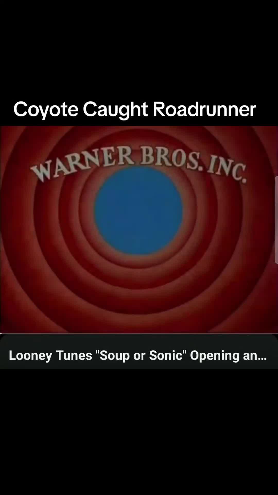 @ElChavoDodger 🇲🇽