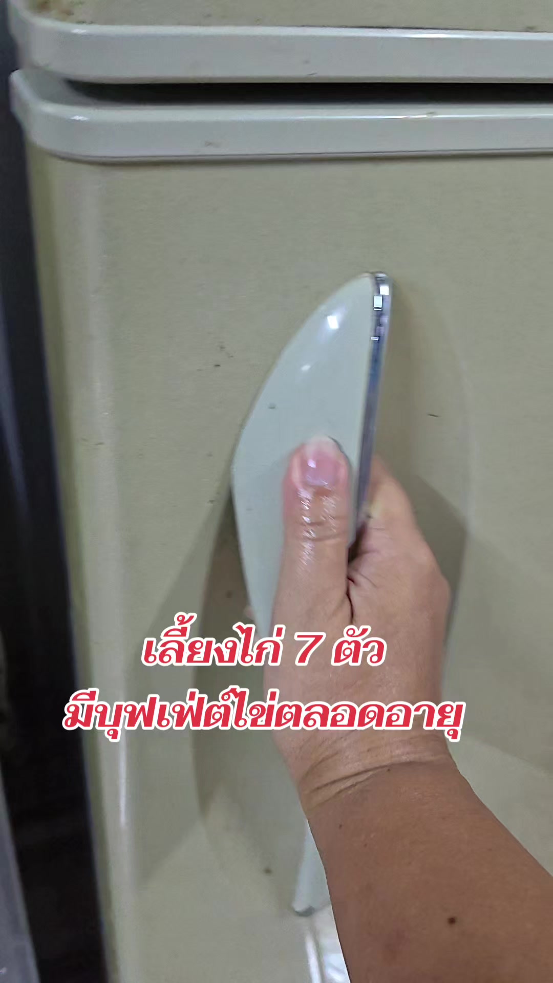 @SabuyNN
