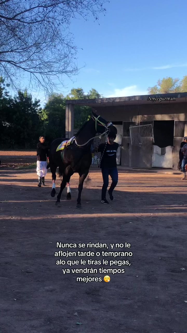 @Anye guzman🏇🏻