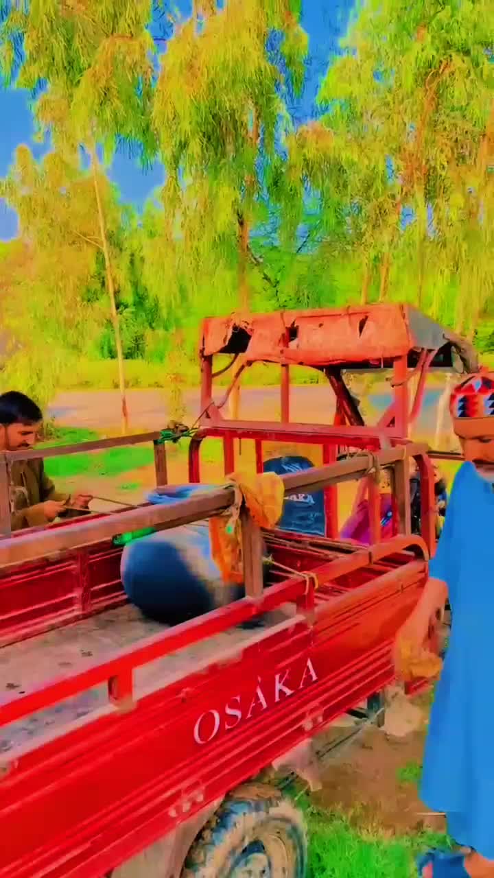 @hakeemsaid281