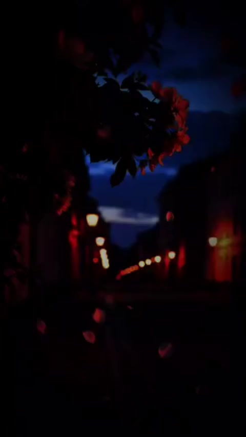 @꧁༺ 🖤𝐴𝑙𝑜𝑛𝑒  𝐴𝑘🖤 ༻꧂