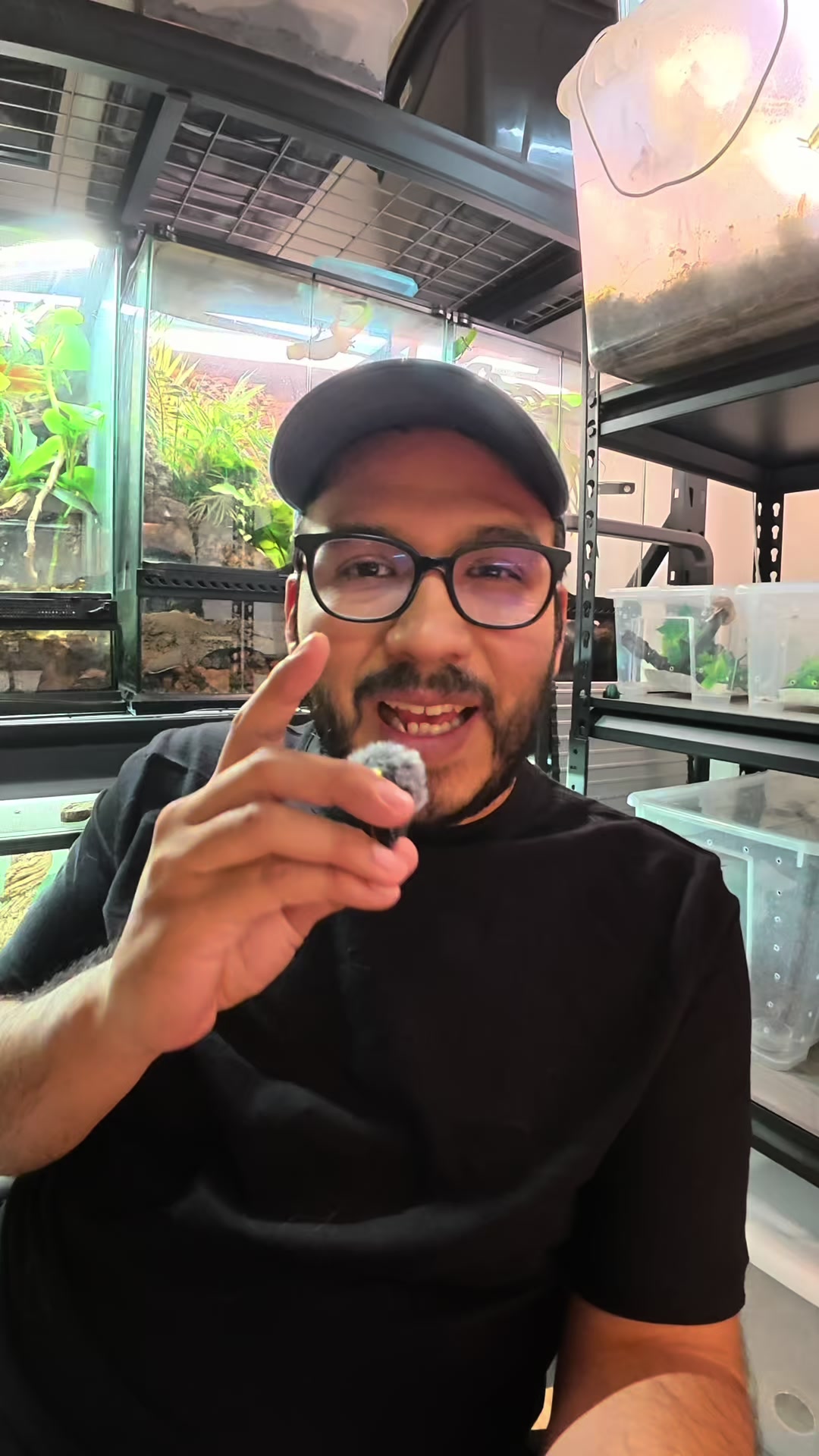 @Reptile Source