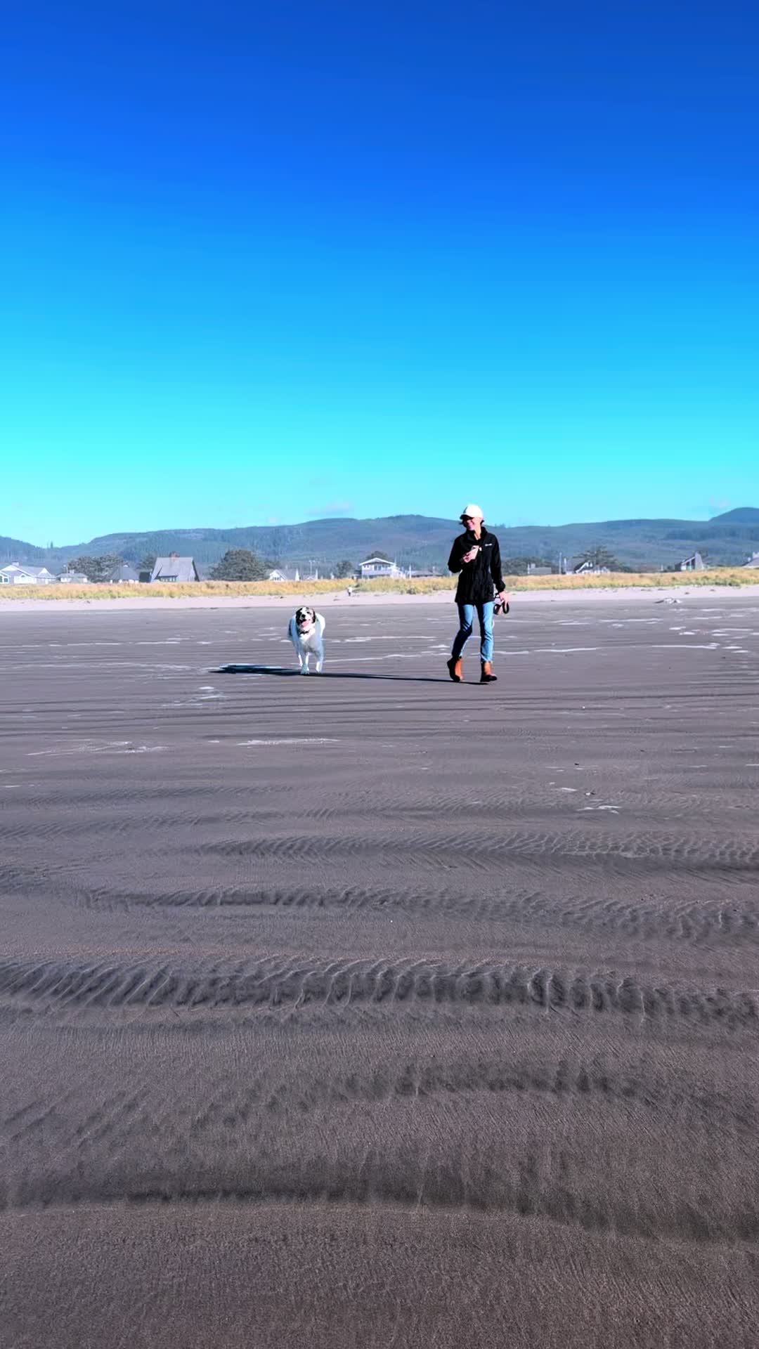 @PawsandPassports
