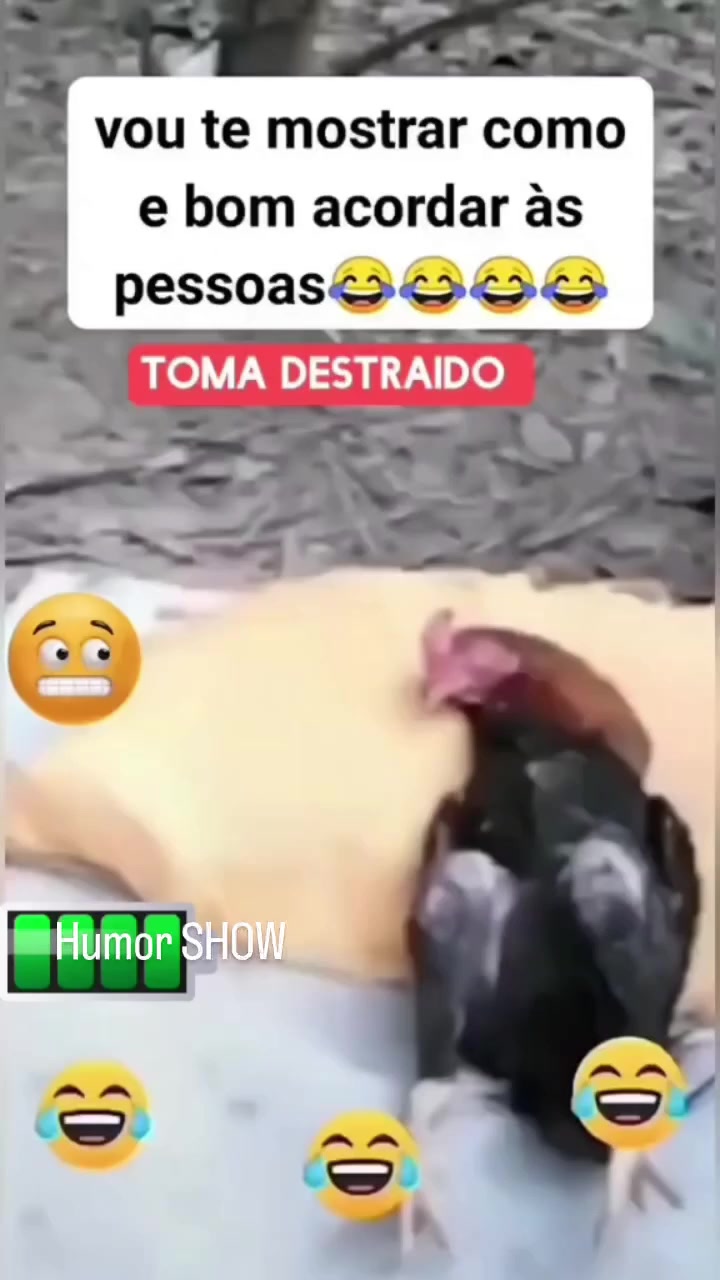 @Matheus Machado Scheibel