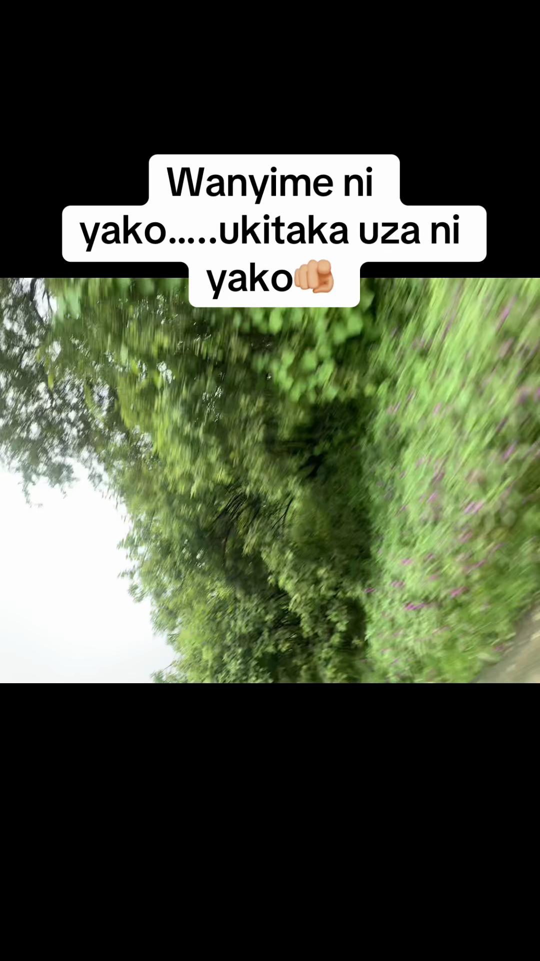@dijo