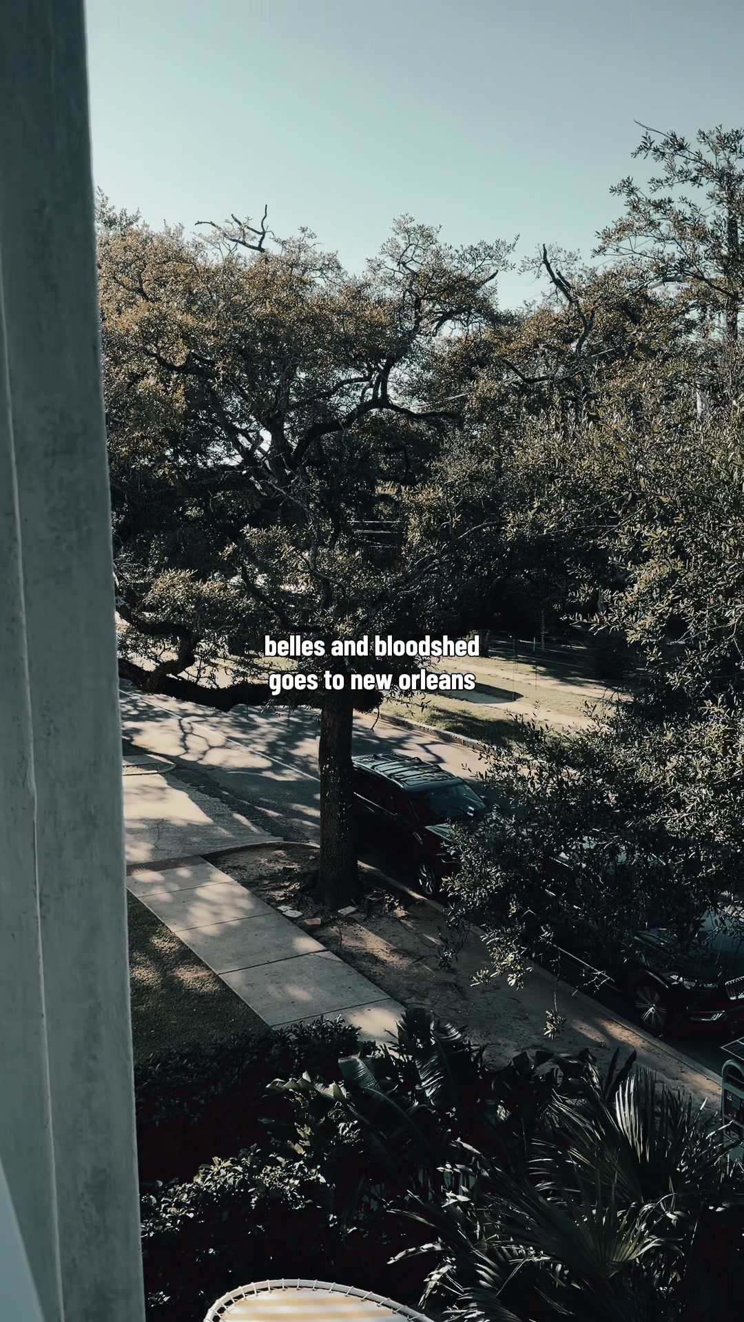 @bellesandbloodshed