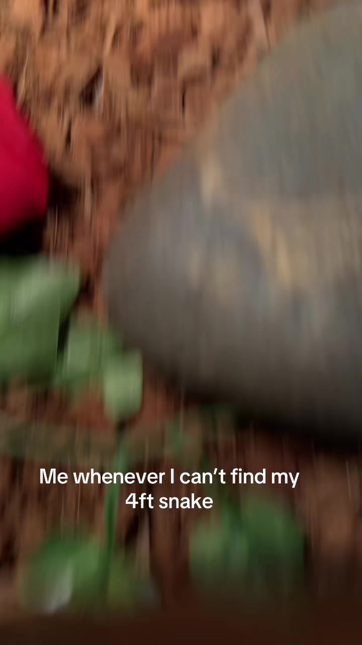 @Oli👹🤺