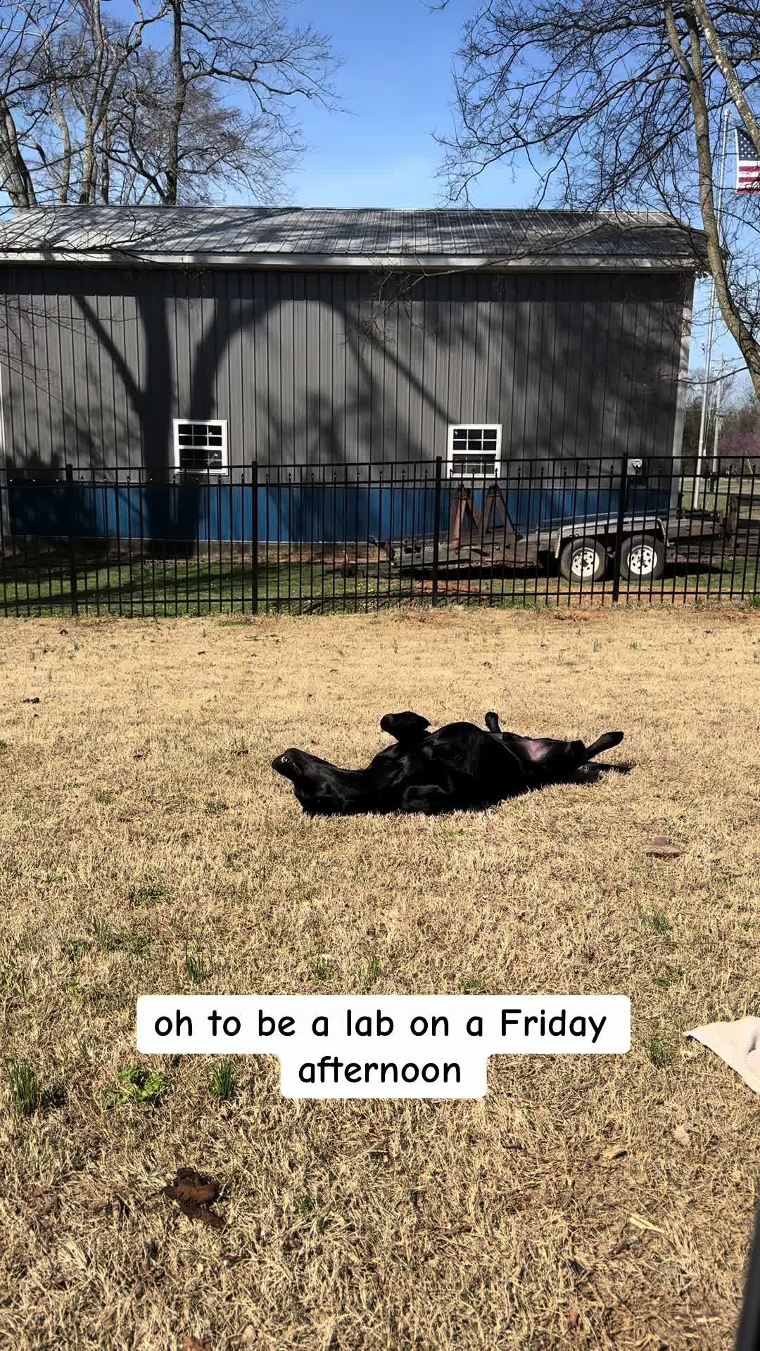 @ghostblacklab