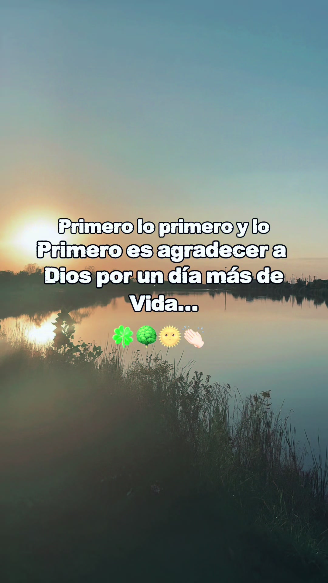 @Solo charadas