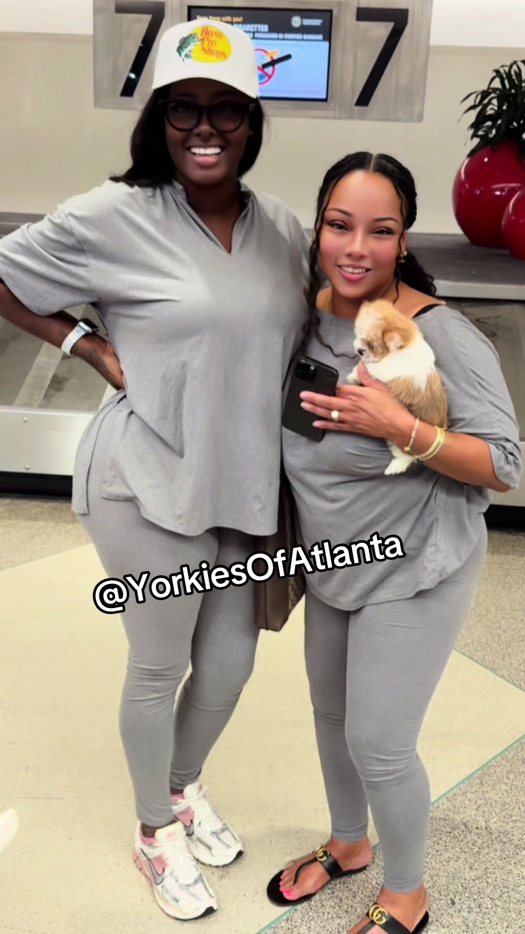 @Yorkies Of Atlanta