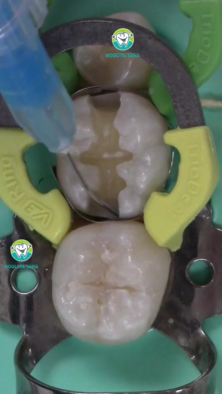 @Boquita sana - Odontología