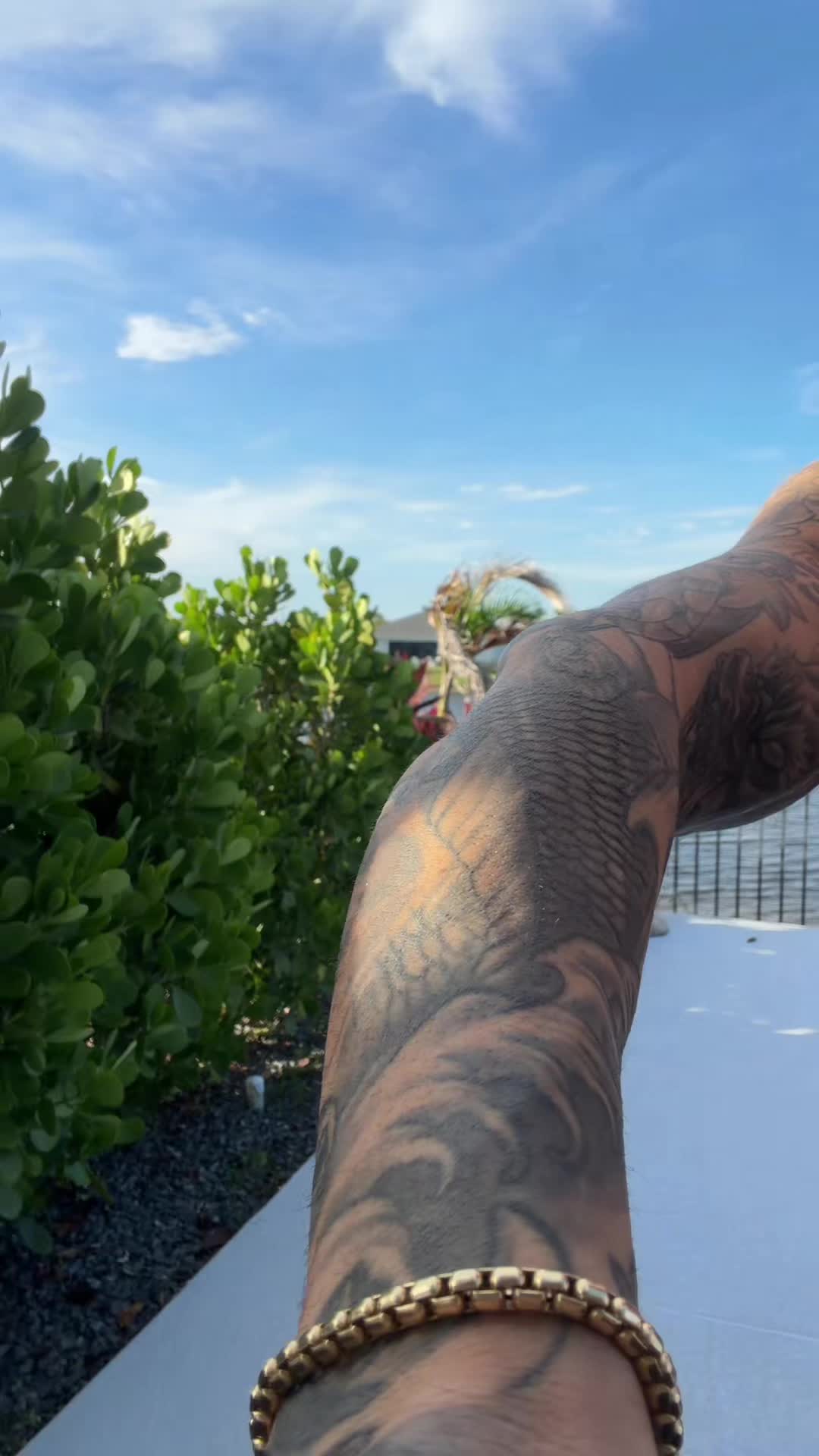 @captainmuscle9555