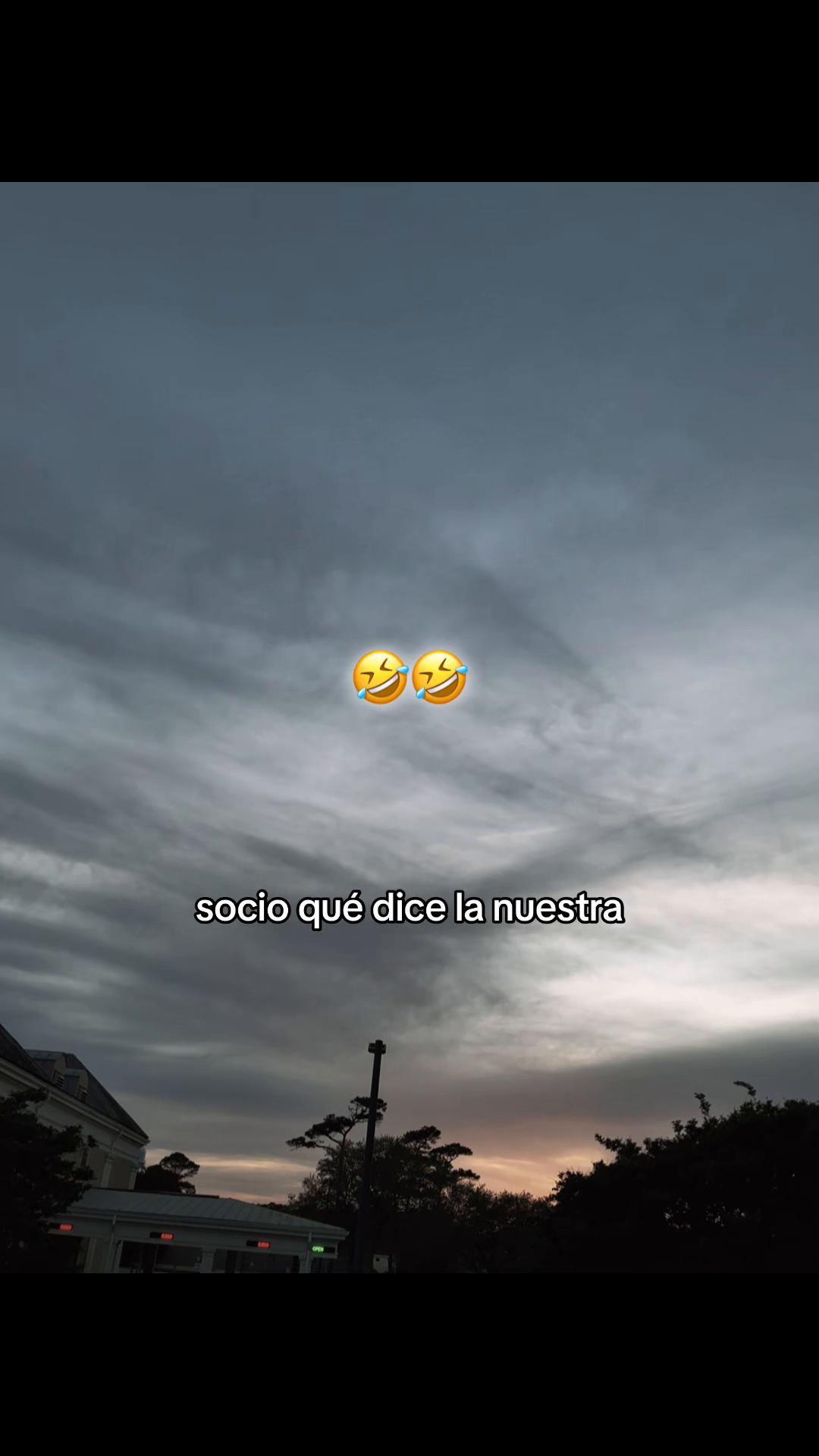 @Elmer__👨🏻&zwj;🦯&zwj;➡️