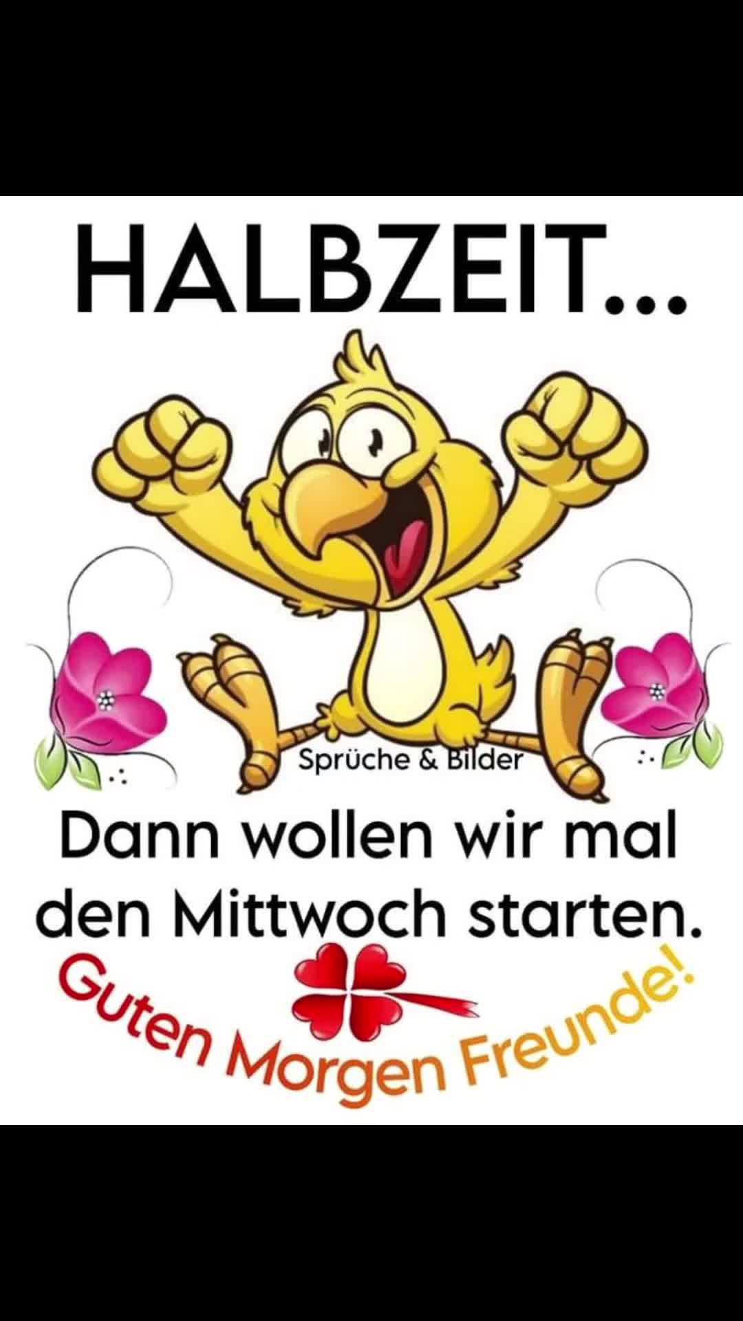 @dagmarschoondy