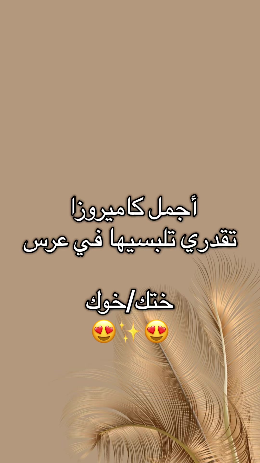 @Lina Collection