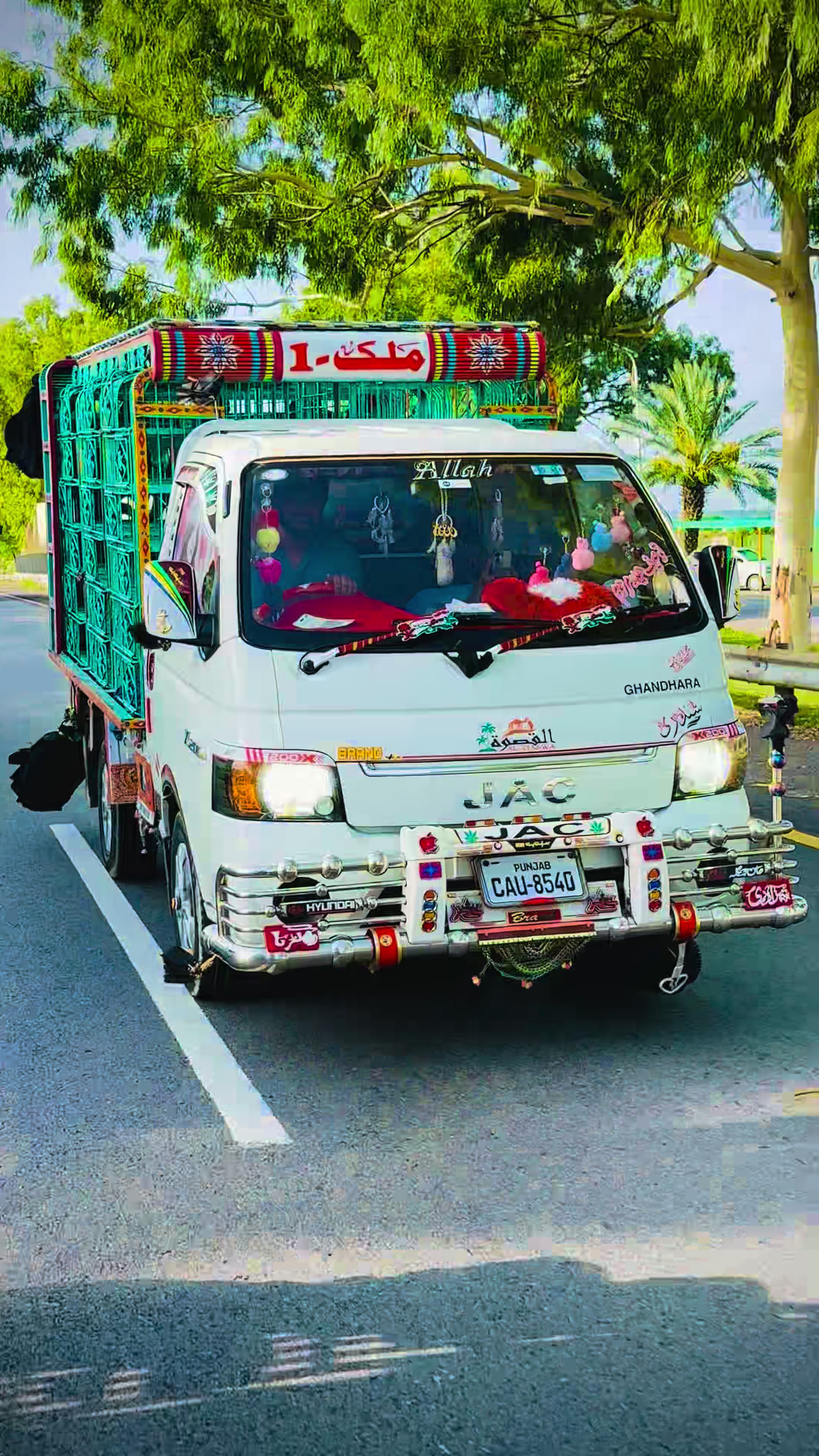 @🥀 ملک آصف اقبال