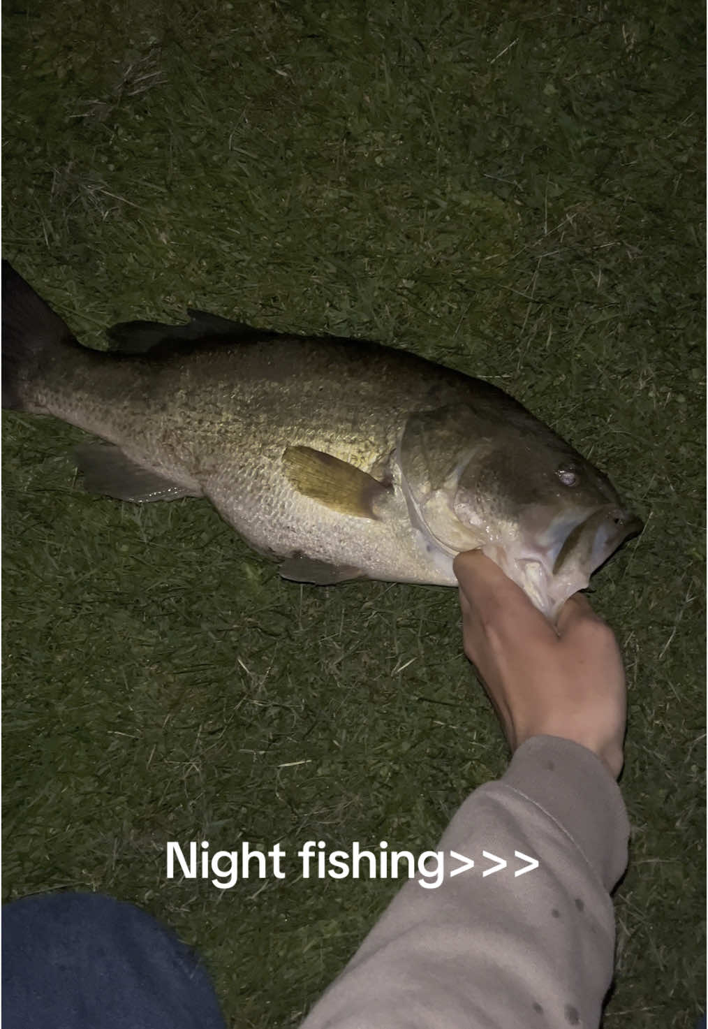 @FishingWithCam
