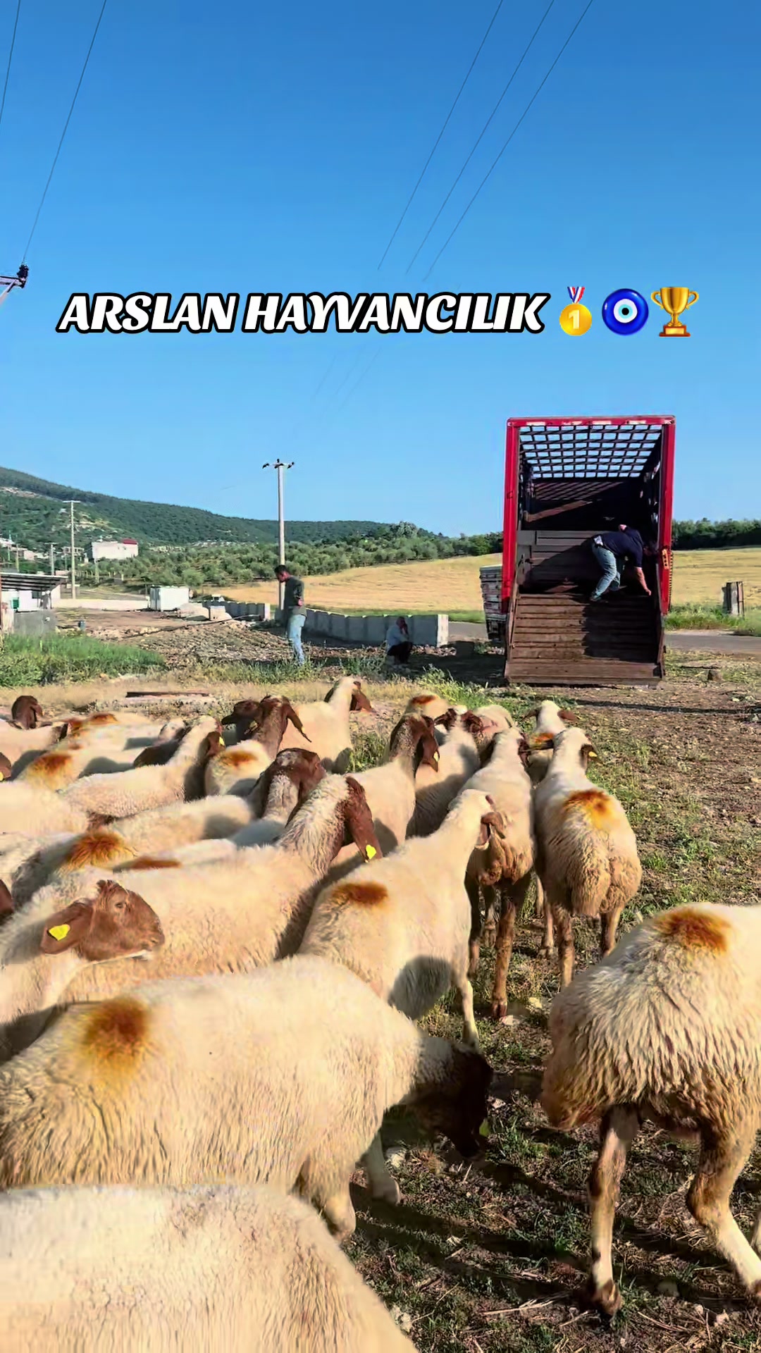 @cuma_arslan027