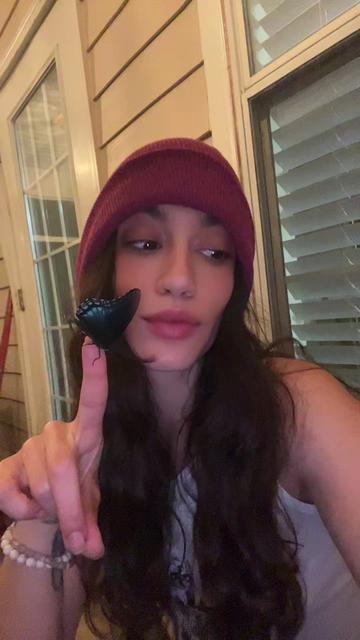 @lexi